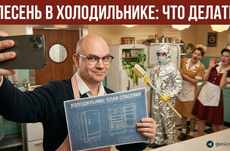 Советы по профилактике плесени в холодильнике Electrolux LNT.